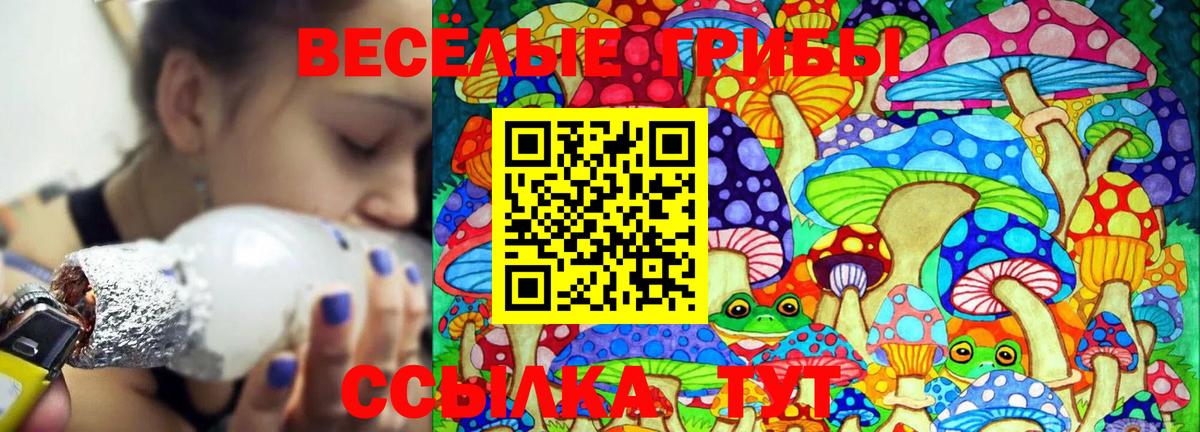 Псилоцибиновые грибы GOLDEN TEACHER  Вход с VPN  Галлюциногенные грибы Cubensis  где можно купить наркотик  Оренбург 